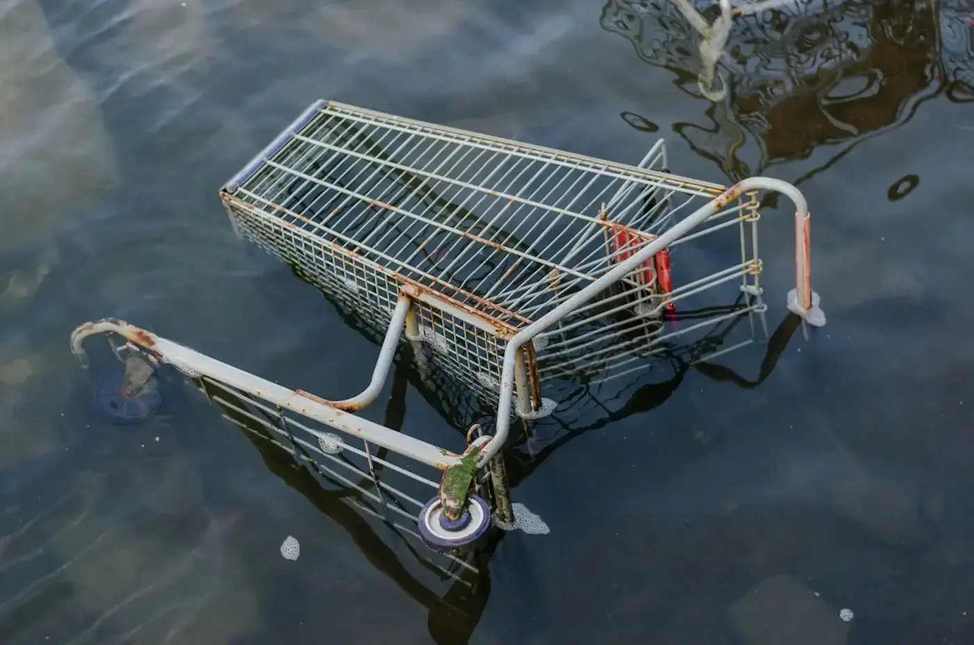 Did you know that over 80% of online shopping carts are abandoned?